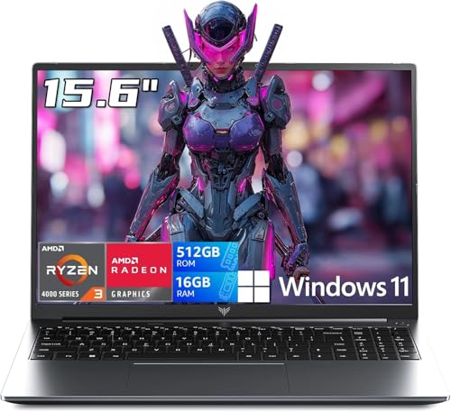 Budget Ryzen Gaming Laptop